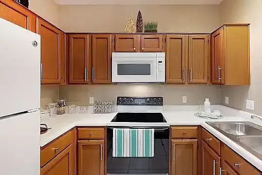 Star Westheimer Apartments — Photo 4
