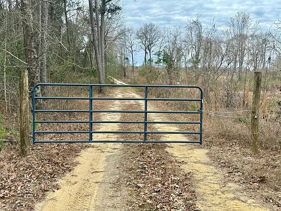 Photo Jan 17 2026 12 08 23 Pm