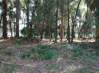 9249 W Ozello Trl, Crystal River, FL 34429