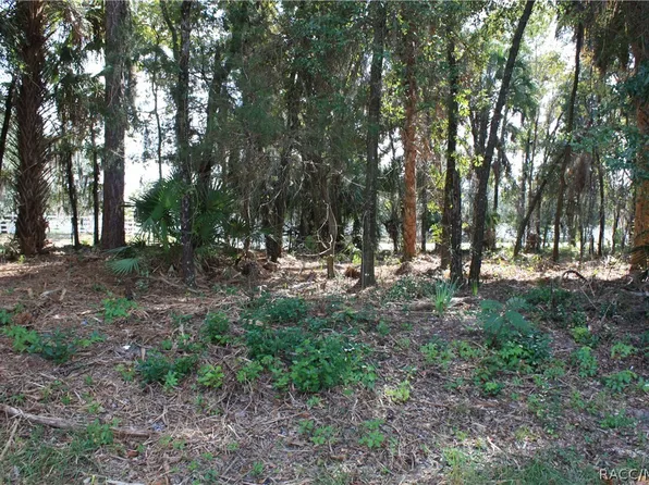 9249 W Ozello Trl, Crystal River, FL 34429