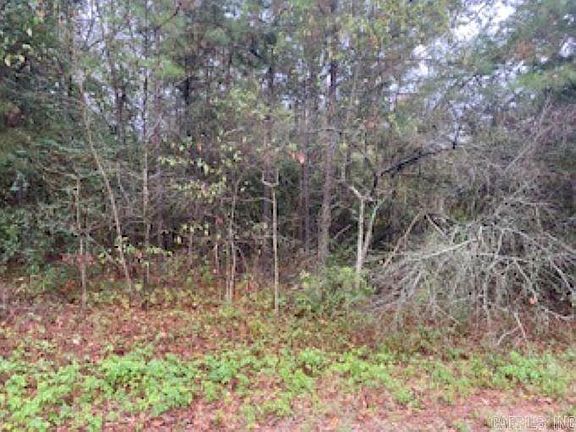 4th image of LOT 28/29 Chicot Acres