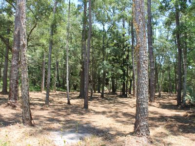 Xx River Dr, Panacea, FL, 32346