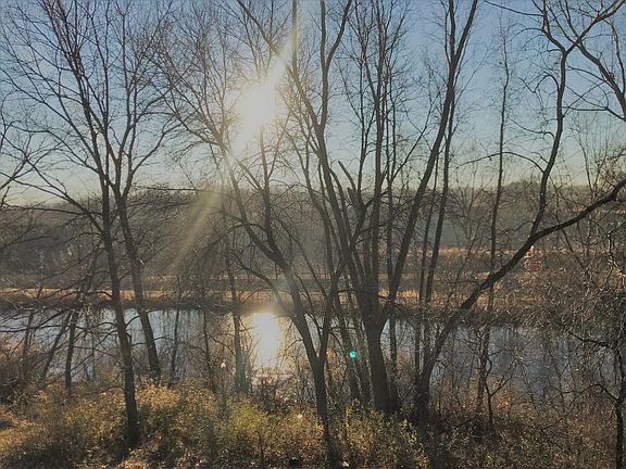 Natural Park View