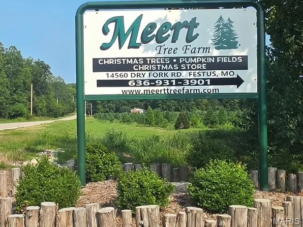 14560 Dry Fork Rd, Festus, MO 63028