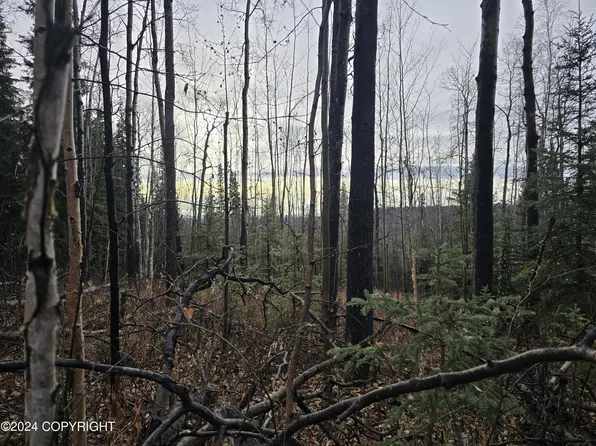 L3-B2 Hillary Ave, Fairbanks, AK 99709