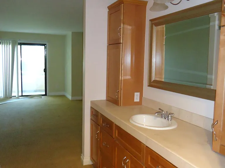 Master Bath Vanity