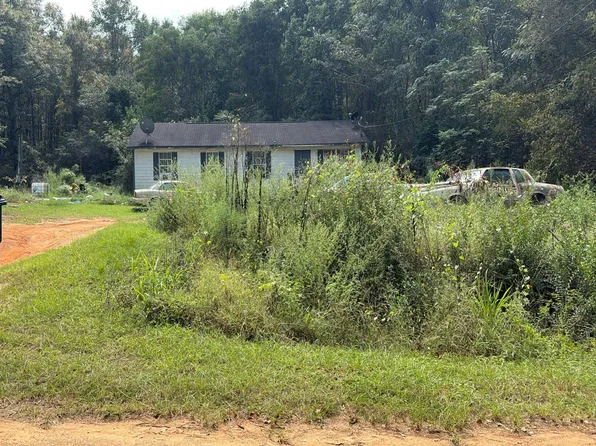 1606 Ollie Pouncey Rd, Chancellor, AL 36316