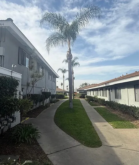 Villa Palms Apartments — Photo 9
