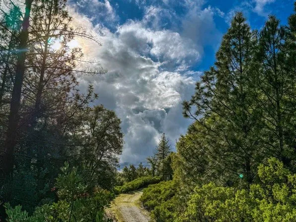 18570 Wildlife Trl, Fiddletown, CA 95629