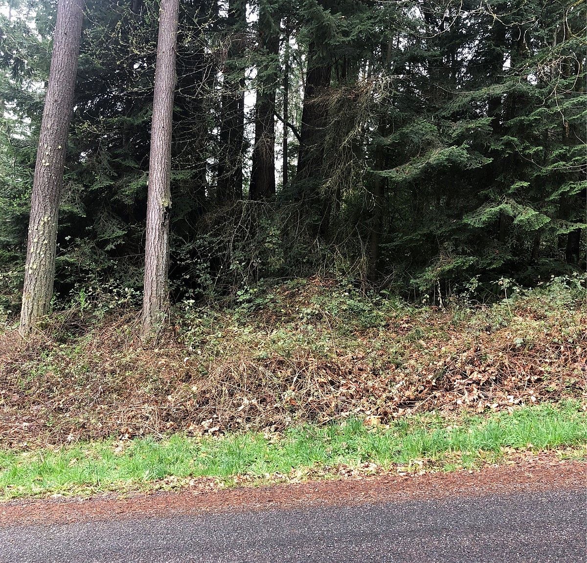0 8th Street, Bucoda, WA 98530 MLS 2214229 Zillow