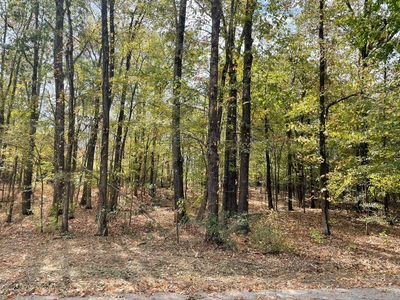 0 Country Club Cv, Somerville, TN, 38068