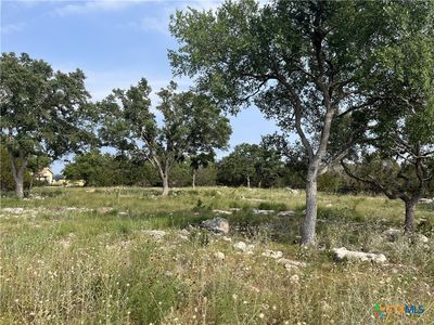 133 Macaw Ln, Spring Branch, TX, 78070