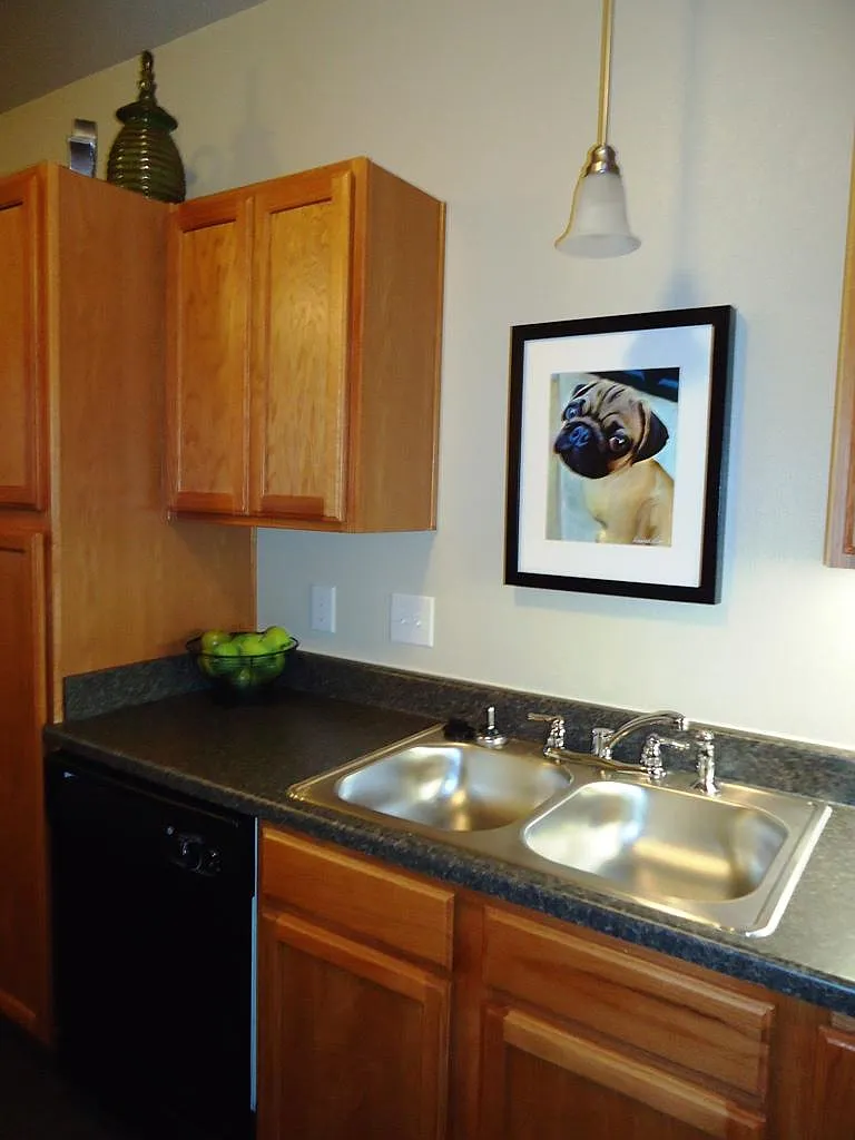 1 bed, 1000 sqft, $1,050 — Photo 3
