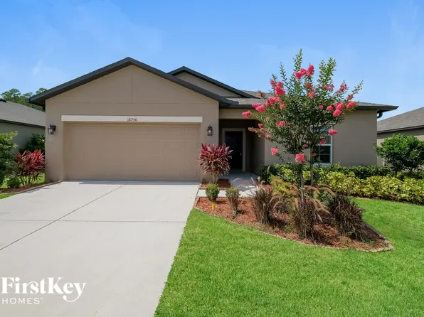 18750 Alfaro Loop, Spring Hill, FL 34610