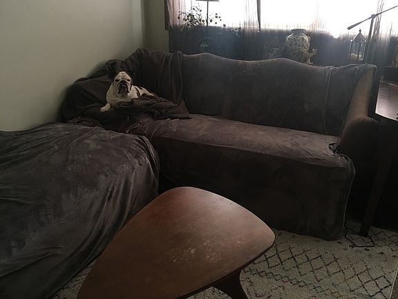 3rd image of 2801 Girard Ave S #202