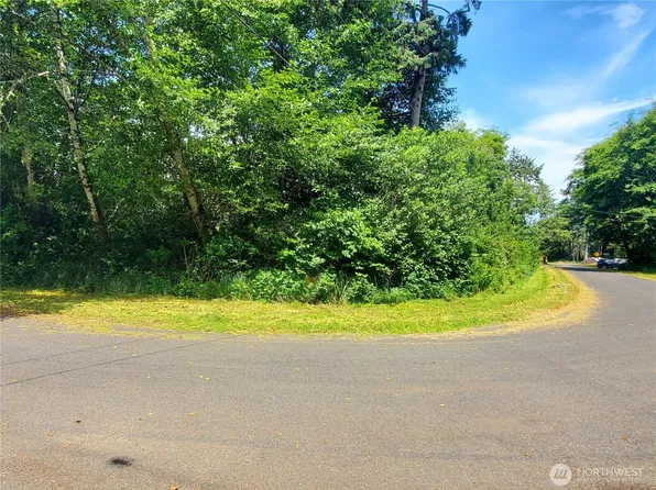 0 Woodland Lane, Copalis Beach, WA 98535