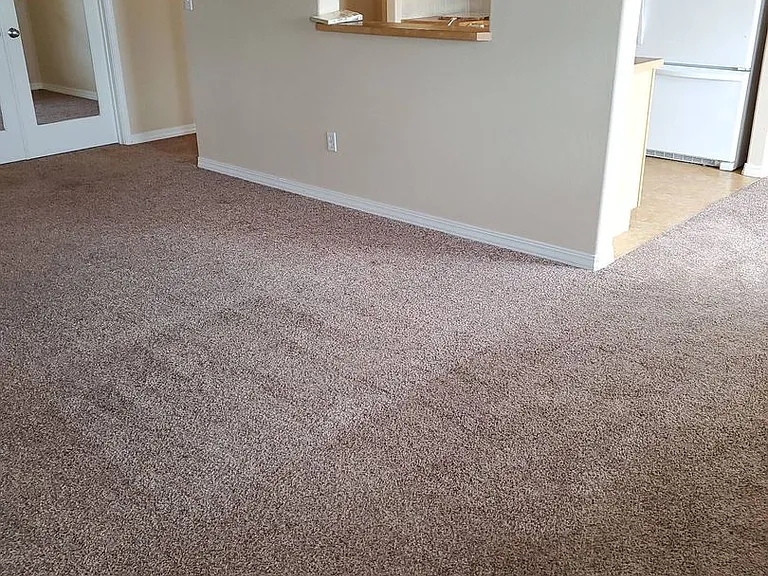601 N Mississippi Dr — Photo 4