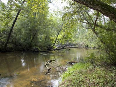 0 Keysville Boggs Academy Road, Keysville, GA, 30816