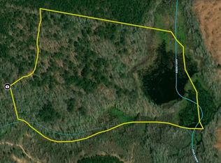 0 Buck Rd LOT WP001, Mitchell, GA 30820