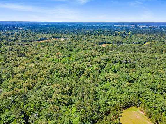3rd image of Lot 91 Cr 114