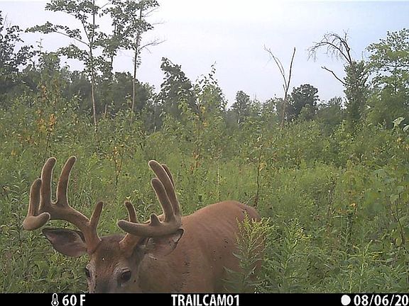 4th image of 1581 50th Street