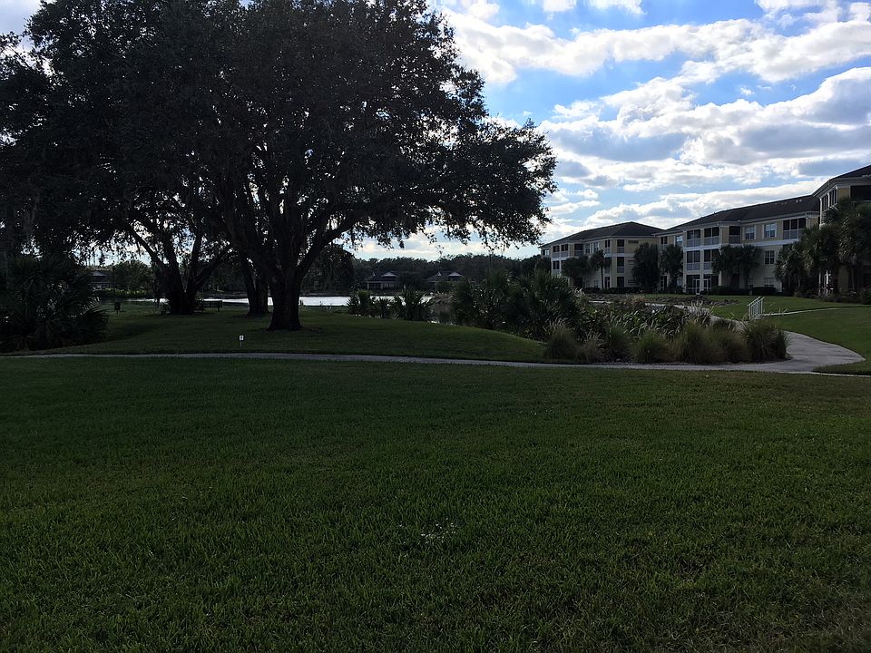 View from back yard