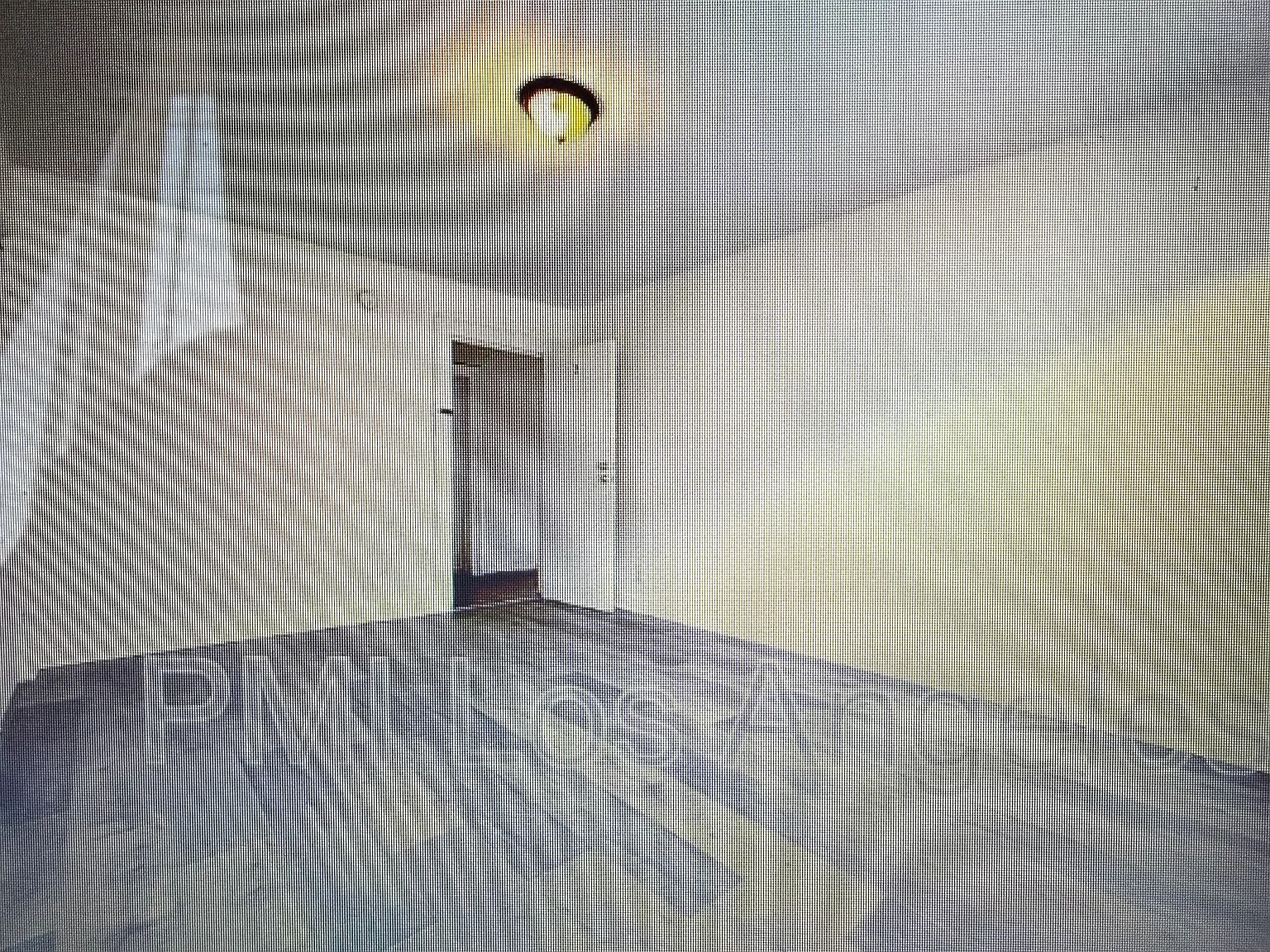 1 bed, $1,300 — Photo 3