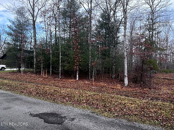 2nd image of 9105 Hondo Dr Lot 521