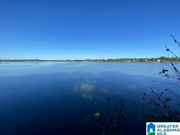 0 Dogwood Ln Lot 8, Ashville, AL 35953