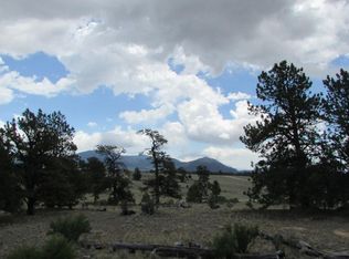 1076 Superstition Trl, Hartsel, CO 80449