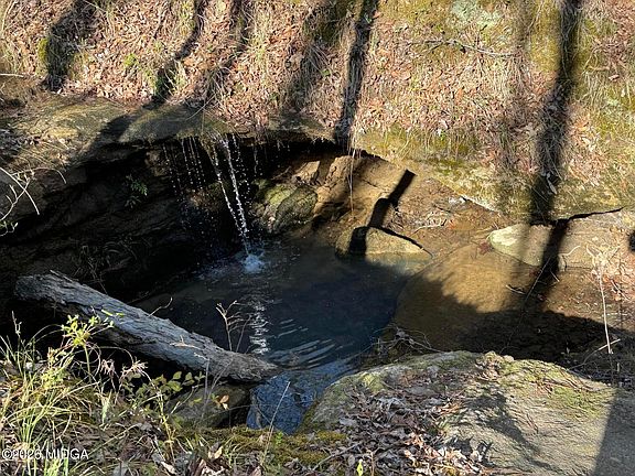 2nd image of 0 Pate Rd