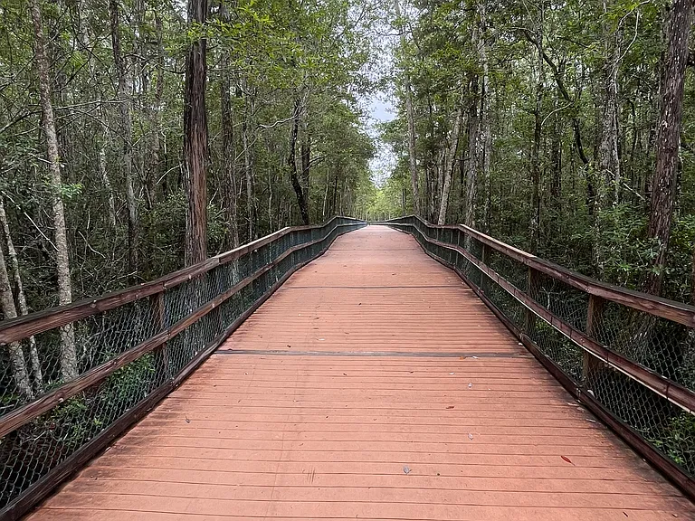 Turkey Creek Boardwalk