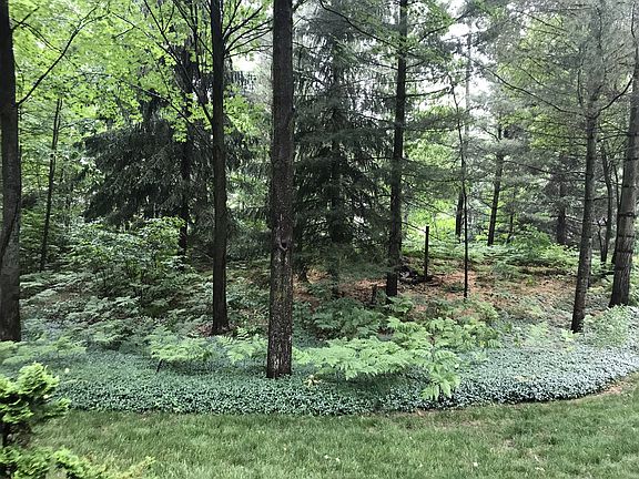 3rd image of 3930 E Tupelo Dr