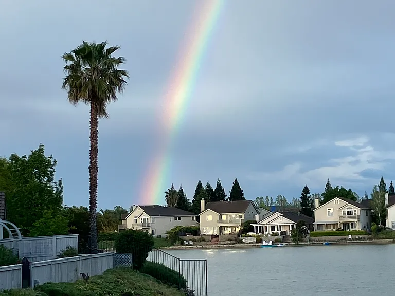 Back yard lakeview