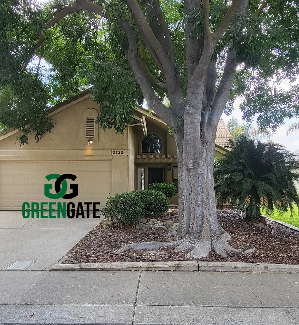 Welcome to this beautiful well maintained 4 bedroom Modesto home! 2428 Woodvale Dr — Photo 1
