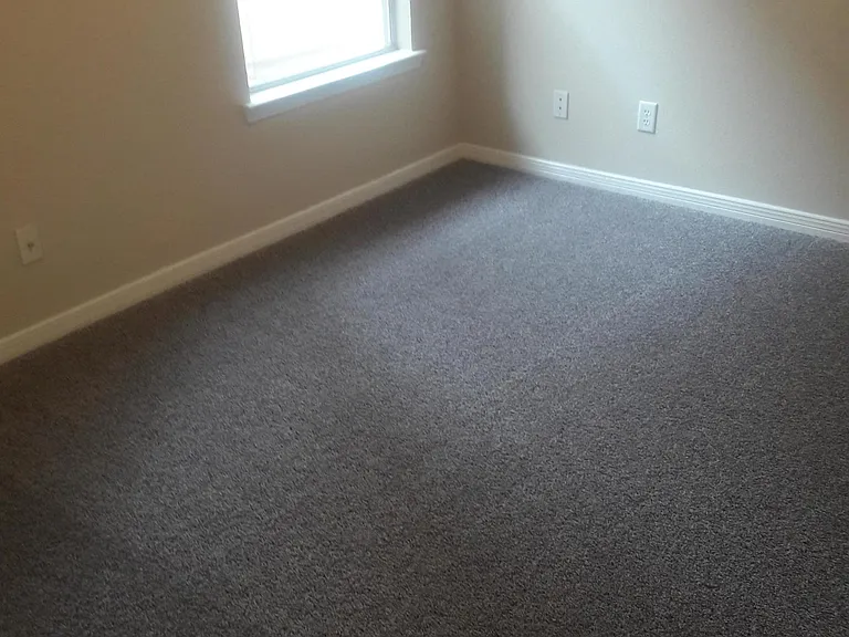 517 Belvidere St #B — Photo 6