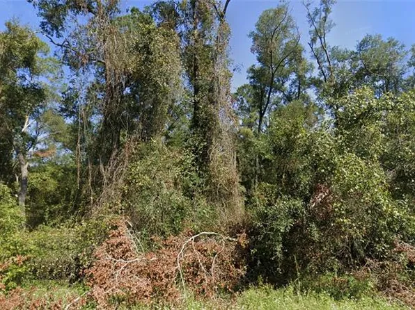 NW Suwannee Valley Rd Lot 21, Lake City, FL 32055