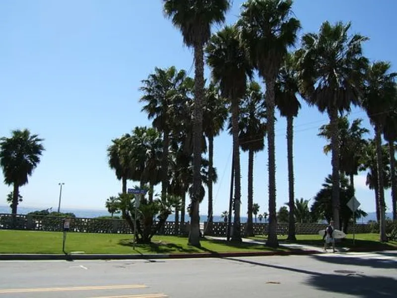 1 bed, 1.0 bath, $2,495 — Photo 2