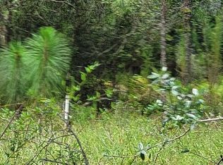 3588 Dyess Rd, Middleburg, FL 32068