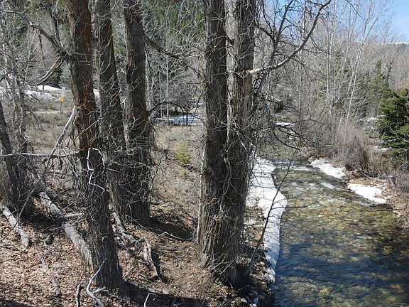 5th image of 237 Timberline Rd