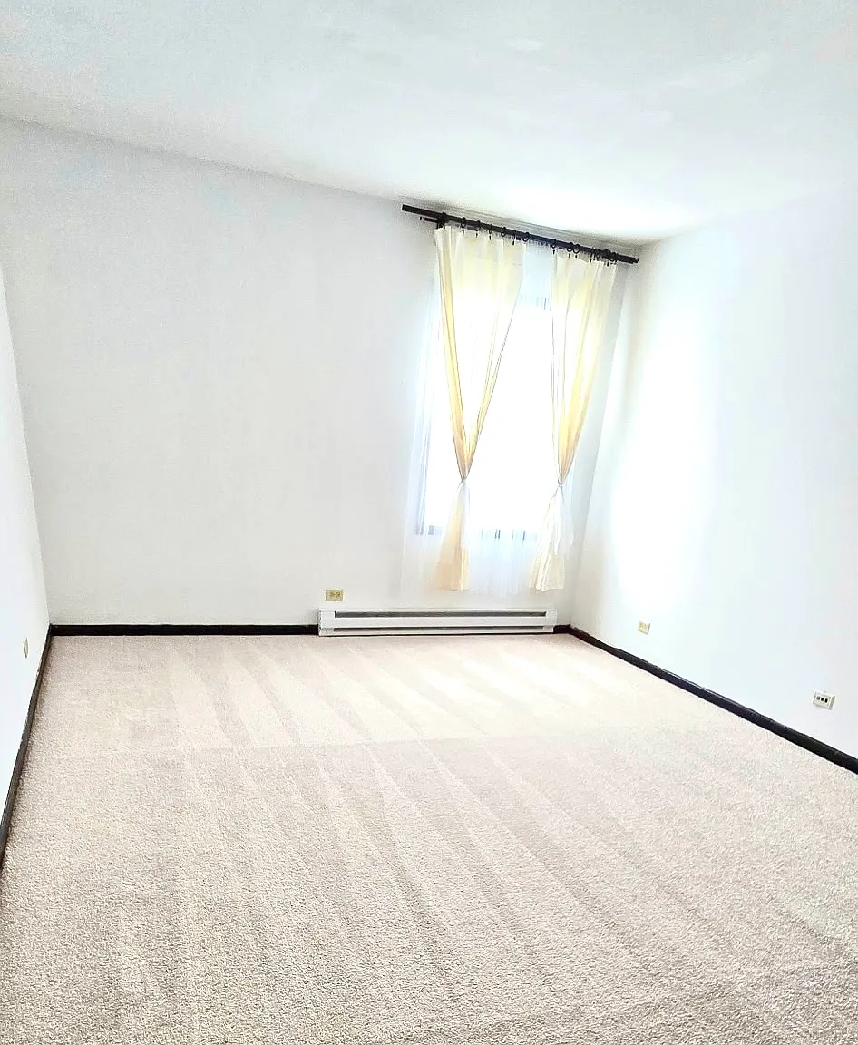 569 Dean Dr — Photo 4