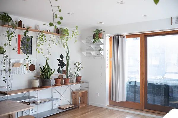 コレクション Suburbia suite : evergreen review 267 Evergreen Avenue #2A in Bushwick, Brooklyn | StreetEasy