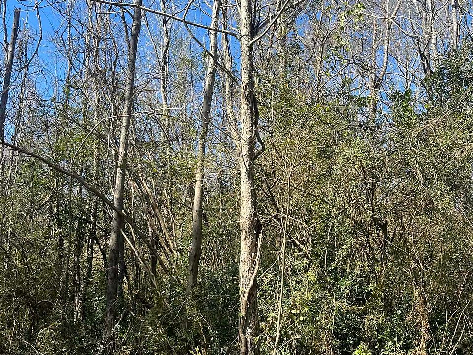 1st image of Abernathy Ave