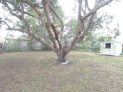 4th image of 541 Highland Dr