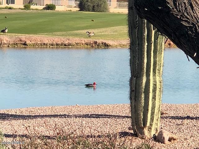 2nd image of 5739 S Pinnacle Dr