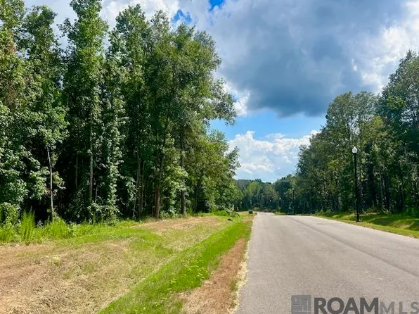 4031 Oak Run Dr, Saint Francisville, LA 70775