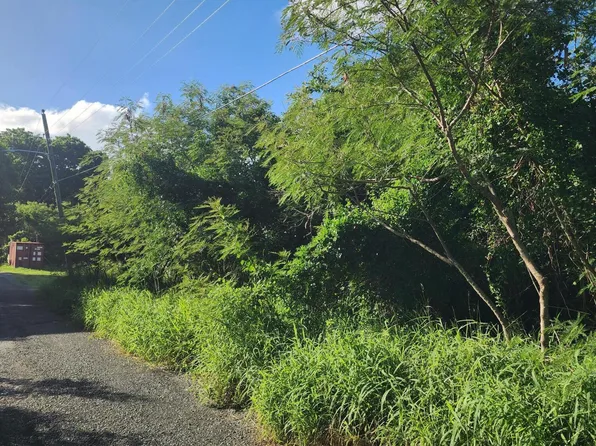 85 Mt. Pleasant EA, St. Croix, VI 00820