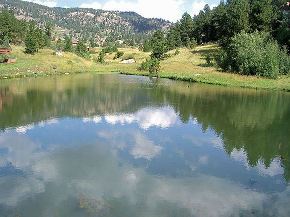 Summer Fishing/Winter Skating
