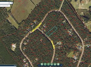 3B-15-22 Fire Sky Rd, Huntsville, TX 77340
