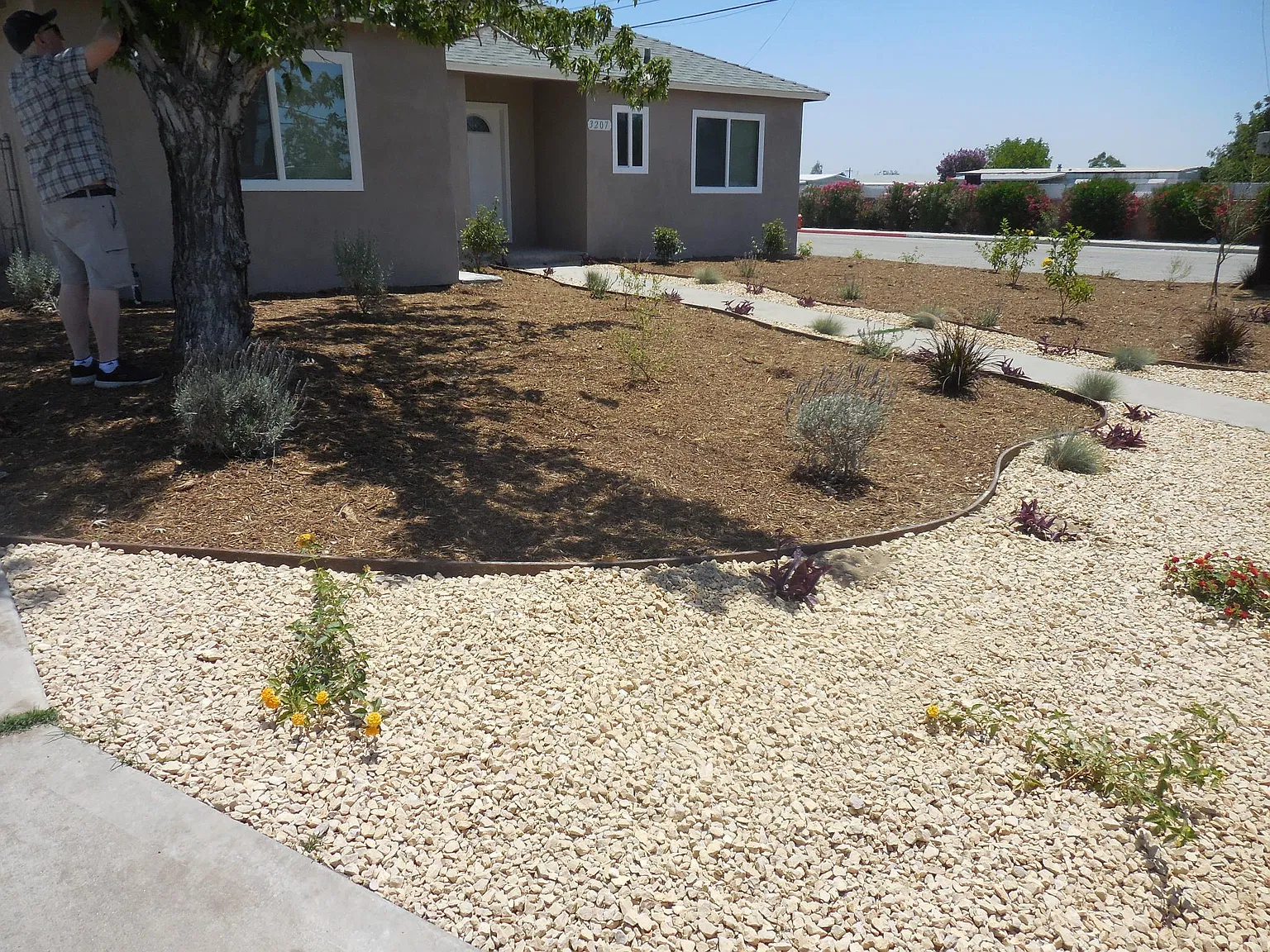 3 bed, 1.5 bath, 931 sqft, $2,100 — Photo 3